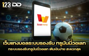 เว็บแทงบอลระบบรองรับ